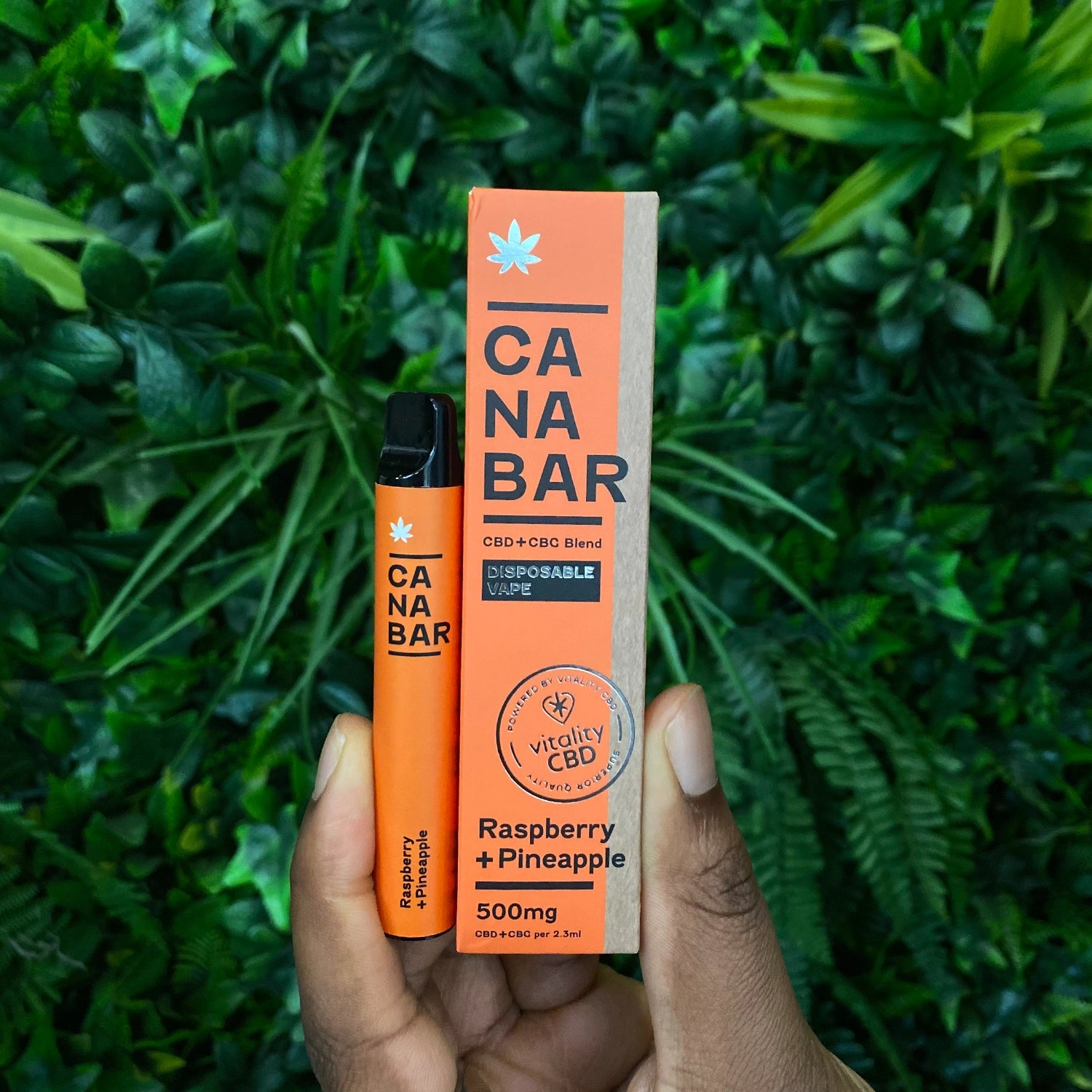 Raspberry + Pineapple CANABAR™ Disposable CBD Vape Device