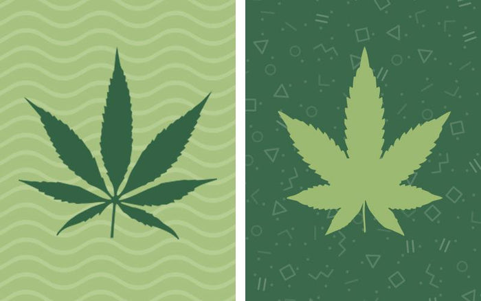 CBD and the difference between psychotropic and psychoactive