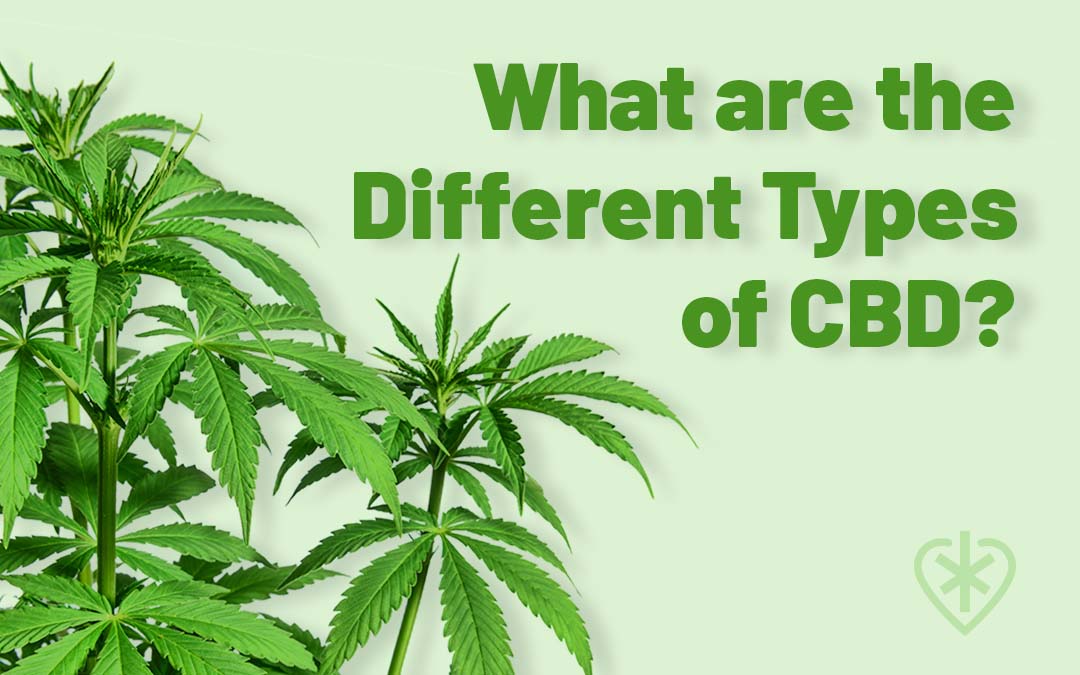 What are the different types of CBD?