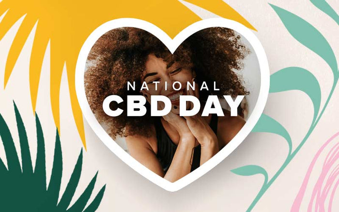 National CBD Day 2023 and the Amazing Story of CBD!