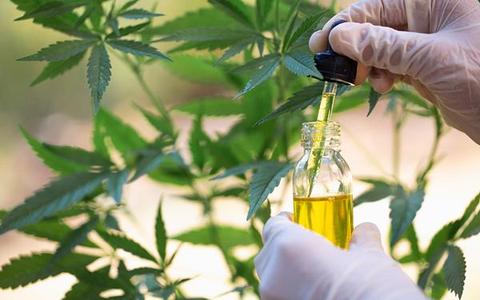 Synthetic CBD vs Natural CBD