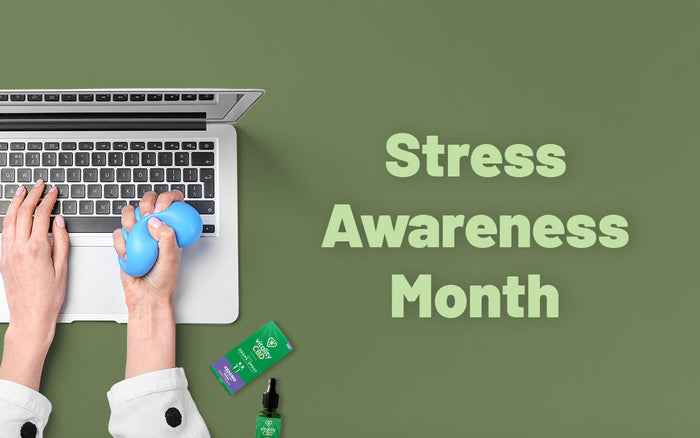 Breaking the Silence: Recognising and Managing Stress